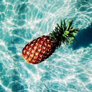 Meet your Posher, Lilly